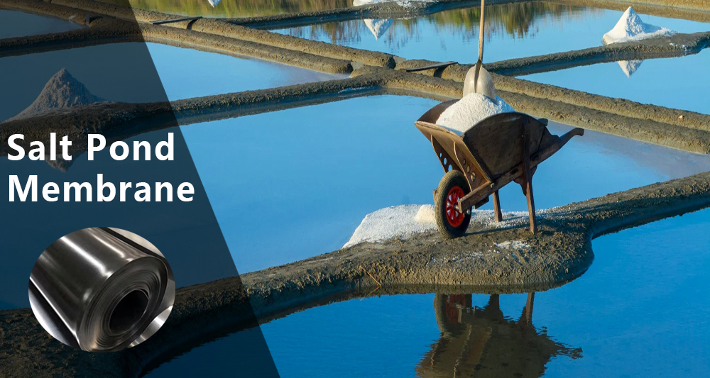 Salt Pond Membrane-sb.jpg